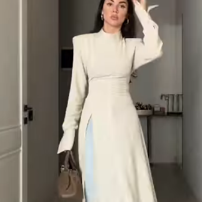 فستان نسائي أنيق طويل الأكمام  - مراجعة Women Formal Office Wear Tops وسعره