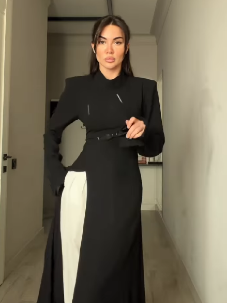 فستان نسائي أنيق طويل الأكمام  - مراجعة Women Formal Office Wear Tops وسعره