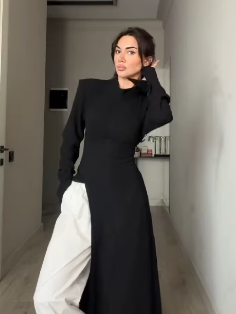 فستان نسائي أنيق طويل الأكمام  - مراجعة Women Formal Office Wear Tops وسعره